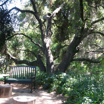 Therapeutic Landscape with Multi-Level Decks- Topanga