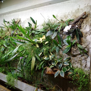 Living Walls
