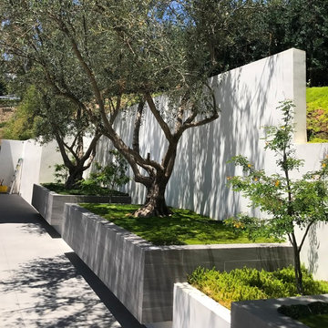 Doheny Estates