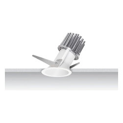 Dalim Small Asymmetric Downlight - Spot Lights