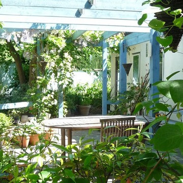 Patricia's Garden