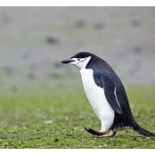 Steve Black's photo