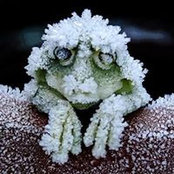Gai Holley's photo