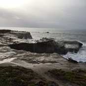 Markey Bachtel's photo