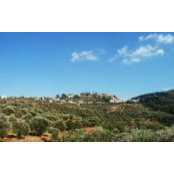 Ibrahim Elias's photo