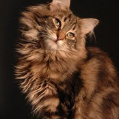 Penny Hines's photo