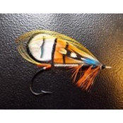 Scott Ingrum's photo