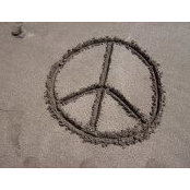 Eleanor Cappelli's photo