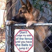 Don Fischer's photo