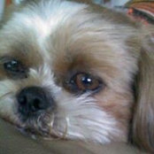 Gina Clark Donnell's photo