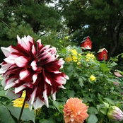 Melissa Ahner's photo