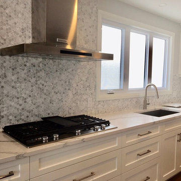 Clean White and Grey Transitional Kitchen Renovation