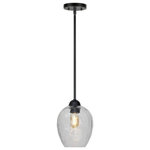 Forte - Forte 2755-01-04 Olivia, 1 Light Pendant, Black - The Olivia transitional stem hung pendant with cleOlivia 1 Light Penda Black Clear Hammered *UL Approved: YES Energy Star Qualified: n/a ADA Certified: n/a  *Number of Lights: 1-*Wattage:75w Medium Base bulb(s) *Bulb Included:No *Bulb Type:Medium Base *Finish Type:Black