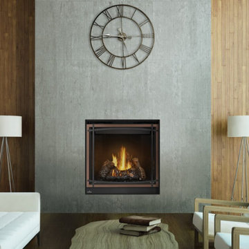 Gas Fireplaces - Traditional Napoleon