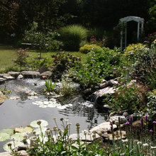 Garden & Yard