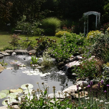 Littlefield Farm: Koi Pond Progression