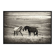 "Close Encounter" Artwork, 22"x14.7"