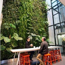 Living Wall