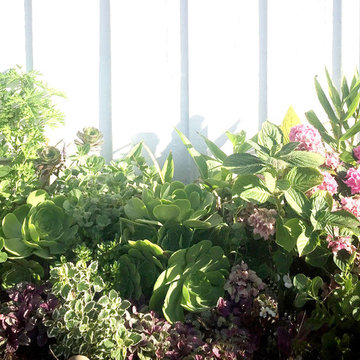 Country garden