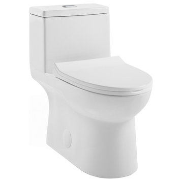 Daxton One Piece Elongated Dual Flush Toilet 1.1/1.6 GPF