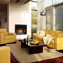 Den fireplace