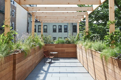 Patio - mid-sized modern courtyard stone patio idea in New York with a pergola