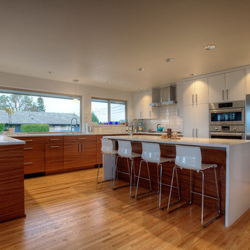 Mid-Century View House