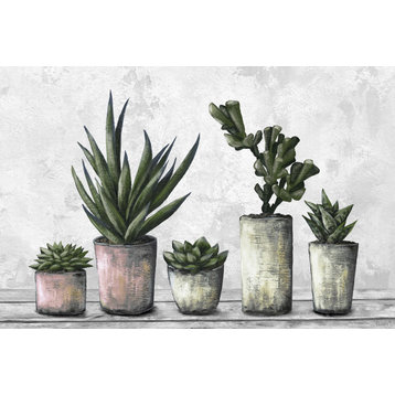 "Earthy Succulent Pots" Painting Print on Wrapped Canvas