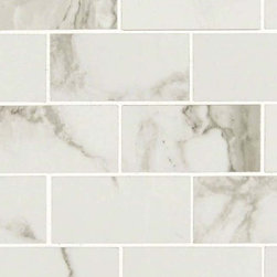 Pietra Calacatta 2x4 Porcelain - Products