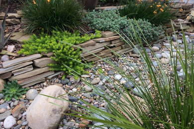 Photo of a mid-sized mediterranean drought-tolerant and partial sun backyard gravel garden path in San Luis Obispo for spring.