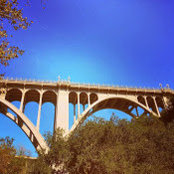 Jessica Rhee's photo