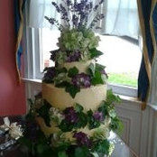 Brian Snyder's photo