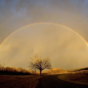 Debbie Michaels's photo