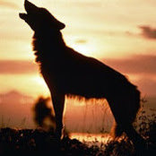Foto von Bob Burke