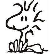 Lisa Stenbeck's photo