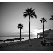 Di's photo