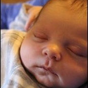 Deb Timbrook Freeman's photo