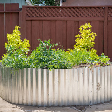Backyard Circulation and Color