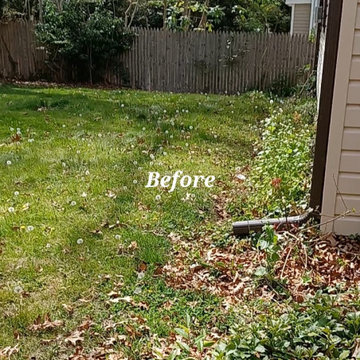 Cleanup and Mulching