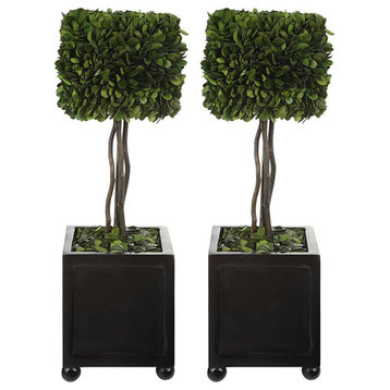 Uttermost Preserved Boxwood 6x19" Square Topiaries, 2-Piece Set, Satin Black