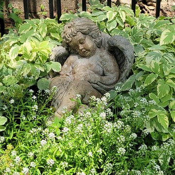 2025 Garden Highlights
