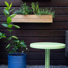Wall Plants Outdoors