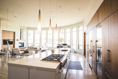 Minimalist kitchen photo in Other