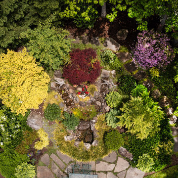 2025 Award Winner /Intimate Water Garden