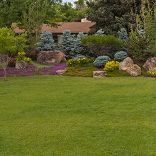 Landscape / Back Lot