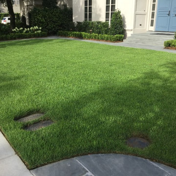 Zoysia sod installation and grading