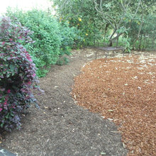 front yard