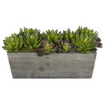 House of Silk Flowers, Inc. - Artificial Succulent Garden in Grey-Washed Wood Ledge - You will never have to worry about caring for your succulents again with this artificial succulent garden handcrafted by House of Silk Flowers. This arrangement features an assortment of succulents "potted" in a rustic washed wood planter (16" x 6" x 5 1/2" tall). The succulents have been arranged for 360*-viewing. The overall dimensions are measured leaf tip to leaf tip, from the bottom of the planter to the tallest leaf tip: 18" wide X 9" deep X 9" tall. Measurements are approximate, and will be determined by your final shaping of the plant upon unpacking it. No arranging is necessary, only minor shaping, with the way in which we package and ship our products. This product is only recommended for indoor use.