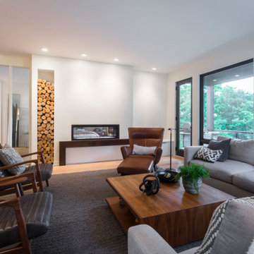 Minneapolis Whole Home Renovation