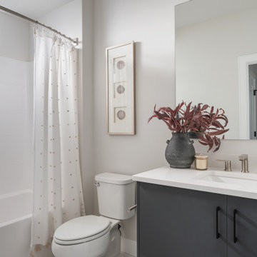 Park Avenue by Brighton Homes